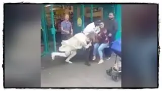Две женщины устроили драку из­-за СПИННЕРА