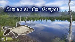 Лещ на озере Старый Острог.