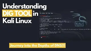 DIG Tool in Kali Linux #cybersecurity #ethicalhackingcourse #kalilinux
