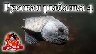 Русская рыбалка 4 Дневной лайт на камбалу хоботную