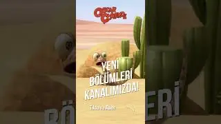 Oscar Çöllerde 🦎 | Hemen Abone Ol! 🤩