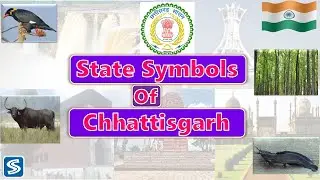 Chhattisgarh State symbols | State Symbols of Chhattisgarh