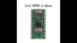 New product-Just 9.9$ Linux Board Milk-V Duo RISC-V 1GHz TPU, Why Need Raspberry Pi Pico?