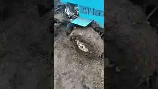 Дождик пошёл.