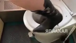 ВСЕ ПРЕЛЕСТИ ПЛАЦКАРТА