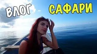 ДЕЛЬФИНЫ НА ЗАНЗИБАРЕ И ДЖУНГЛИ С ОБЕЗЬЯНАМИ. JOZANI FOREST. ОТДЫХ НА ЗАНЗИБАРЕ. САФАРИ В ТАНЗАНИИ.
