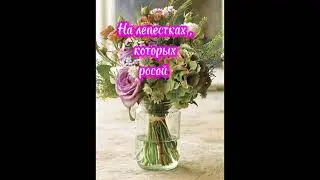 Доброе Утро !!!