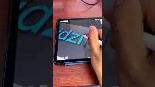 TikTok Follower Counter #shorts