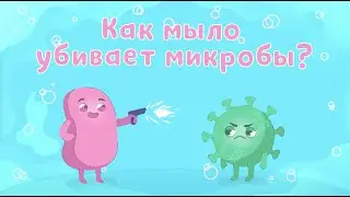 Как мыло убивает микробы?