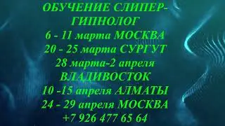 ОБУЧЕНИЕ СЛИПЕР - ГИПНОЛОГ.  МОСКВА - СУРГУТ - ВЛАДИВОСТОК - АЛМАТЫ - МОСКВА,