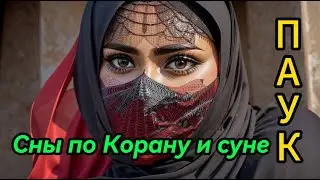 Паук. Сон по Корану и суне.