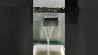 Lemon orange juice making machine