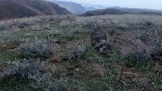 селай калон омаду дуто руст шуд