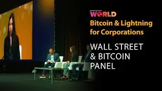 Wallstreet & Bitcoin Panel Session w/ Lyn Alden | Bitcoin For Corporations