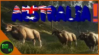 Our First Look At Australia! Call Of The Wild