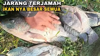 Mancing di spot sungai liar ini Terbanyak ikan Nila Babon nya