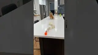 HE PULLED IT OFF