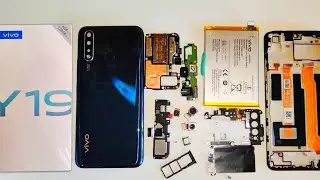 vivo Y19 || Disassembly 📱📲 screen  display combo  Replacement||  👇