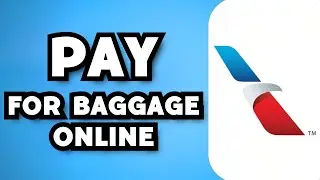 How To Pay For Baggage Online With American Airlines (2024 Guide)