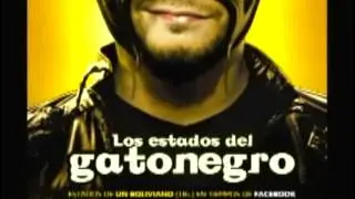 gatonegro michelin