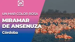 [DESTINO RECOMENDADO] MIRAMAR DE ANSENUZA