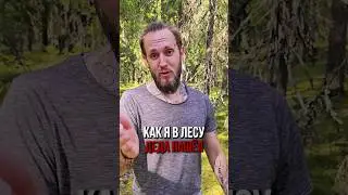 Как я в лесу деда нашёл @dobriy_johnny