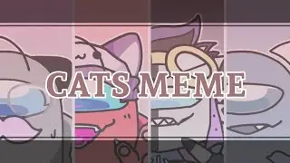 CATS meme |FlipaClip |Among us【GIFT】
