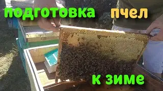 Работаем на пасеке! Подготовка пчел к зиме!