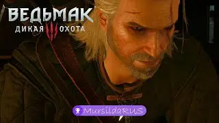 ВЕДЬМАК 3 │СЛУЧАЙ В КОРЧМЕ НА РАСПУТЬЕ