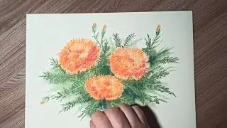 Бархатцы, как нарисовать пастелью.