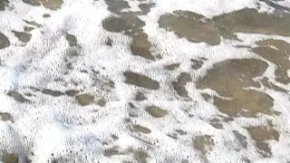 Море утром 26.08.2024