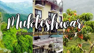 Mukteshwar Tourist Places | Where To Stay in Mukteshwar Uttarakhand