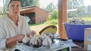 Картошка дрянь, а Чеснок улетел на ура 👏