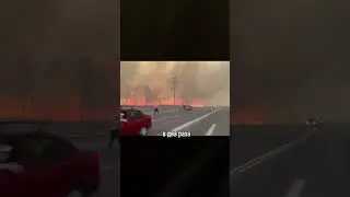Ужасающие пожары
