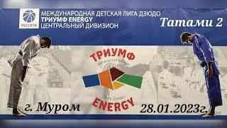 Международная детская лига дзюдо центральный дивизион 1й тур 1й этап г. Муром 28.01.2023г.