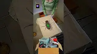 Pizza time 