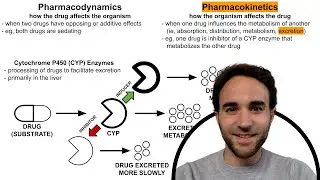 CYP Enzyme Inhibitors & Inducers (Psychotropic Drug-Drug Interactions)