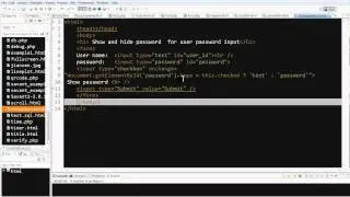 JavaScript example: checkbox to show and hide password  for user password input