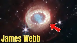 NEW! Webb Reveals New Structures Within Iconic Supernova
