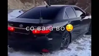 Чеченская песня)х1ай х1ай хаза йо1😻