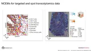 10 Cell cell communication inference