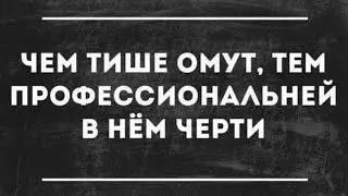 1 июля 2024 г.