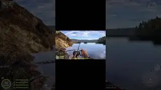 Обидный недотроф Гольца Дрягина 