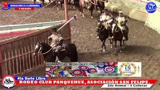 4TA SERIE LIBRE,  RODEO CLUB PANQUEHUE, ASOCIACION SAN FELIPE, MEDIALUNA EL ALMENDRAL
