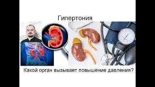Гипертония - лекция доктора Голода