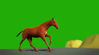 Horse Green Screen Footage || Horse Running || Animal green screen (2021)