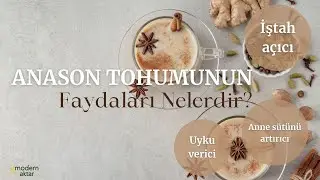 MODERN AKTAR ANASON TOHUMU| FAYDALARI NELERDİR?