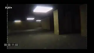 The backrooms (real VHS footage)