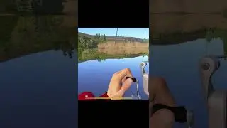 Русская рыбалка 4 