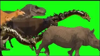 Animal World Stampede Green Screen | 